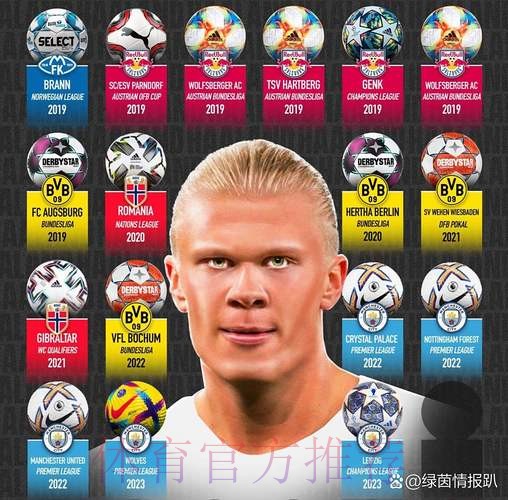 罗德里戈:希望哈兰德不要进球 没人知道如何阻止他 罗德里戈:希望哈兰德不要进球 没人知道如何阻止他